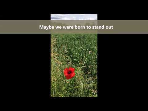Born to Stand Out