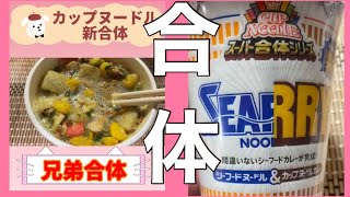 【カップ麺レポート】スーパー合体紹介してみた/色々なYouTuber合体してみた/何ヌンわかるかなー？