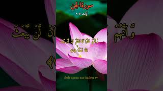 surah jinn #surahjin #ytshorts #viral