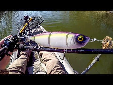 Swimbait Fishing For River MONSTERS!