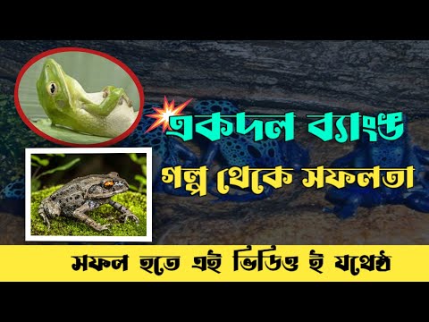 ⚡একদল ব্যাংঙ গল্প থেকে সফলতা| সফল হতে এই ভিডিওই যথেষ্ট| motivational speech bangla| Stroy