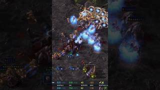 herO and Reynor counterattacks! | #starcraft2 #falconpaladin #sc2