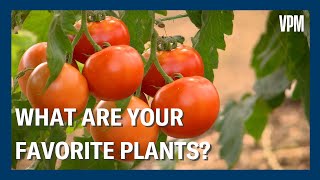 What are YOUR favorite plants?