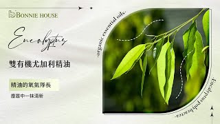 Bonnie House｜尤加利精油