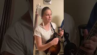 Amish Bluegrass with The Brandenberger Family - I Heard The Bluebirds Sing #amish #bluegrass