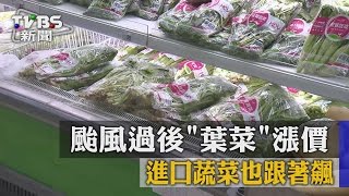 【TVBS】颱風過後「葉菜」漲價　進口蔬菜也跟著飆