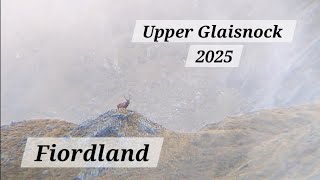 Wapiti Hunting in Fiordland - Upper Glaisnock