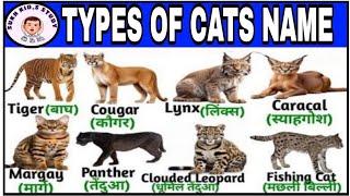 Types of cats in English and Hindi l English vocabulary l (@sukhkidsstudy)