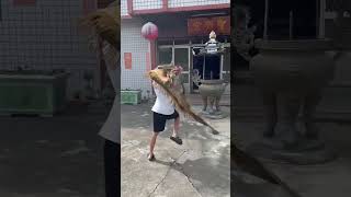 宮旗拜廟示範