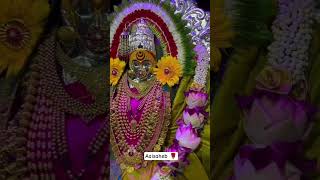 aaikalubai 🌹#aaibhavani#bhavani#tuljapur #subscribe#youtubeshorts#viralvideo#viralreels#shortvideo