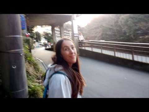 Rob + Laura Adventures - Hakone + Tokyo Imperial Castle