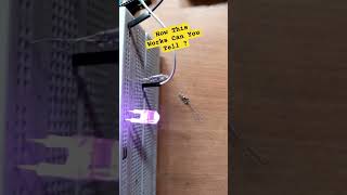 Tilt Switch Working With Light | See This mercury | mercury element  #mercury #technology #trending