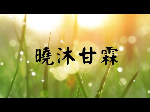 YPT41《曉沐甘霖》心靈音樂｜休閒音樂｜佛教音樂｜禪修音樂｜太極拳背景音樂＞無痕加長珍藏版