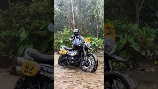 DEEP DIVE! Triumph Scrambler By vubobber