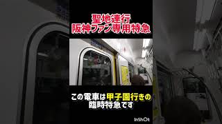 聖地に直行する阪神ファン専用臨時特急#佐藤輝明 #阪神電車#臨時特急 #特急列車 #臨時列車 #阪神タイガース