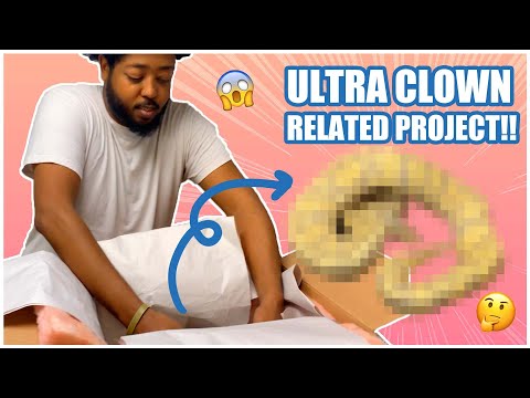MOST ANTICIPATED ball python unboxing of the year!!!