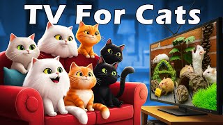 🔴 TV For Cats 📺The Ultimate Video of Mice for Cats to Watch🐭Relieve Stress & Improve Your Cat’s Mood