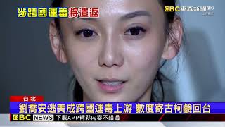 通緝中「太陽花女王」劉喬安逃美落網 淪跨國運毒上游@newsebc