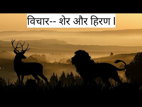 || Lion and deer ll thought of the day in Hindi by refresh motivation ||