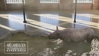 Air, Land and Sea : Augmented Reality Experience