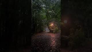 下雨天的氛围感，既孤独又享受