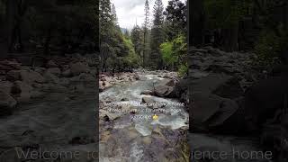 Relaxing nature ambience #shorts #natureambience #sleepingmusicfordeepsleeping #sleepingmusic
