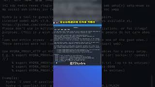 NINJA OMEGA SEC  |  kali工具集-九头蛇hydra #黑客 #网络安全 #程序员 #网络安全