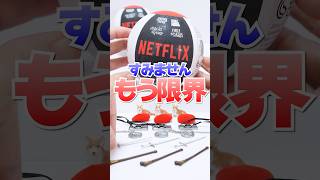 ごめんなさい😭NetFlixの高級ガチャガチャの中身が限界突破🔥地獄すぎてリベンジできない😱 #Shorts #ガチャガチャ #netflix #gachagacha