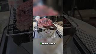 Mastering the Perfect Grill: Seasoning Tips for Success #bbq #grill