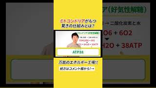 ミトコンドリアがもつ驚きの仕組みとは？ #shorts #ナグモ先生 #ナグモクリニック