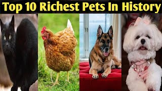 Top 10 Richest Pets In The History / #top10richestpets #top10pets #nowchanged1m