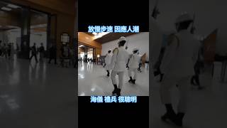 #中華民國 114年7月15日 (2025/7/15)⚓ #海軍儀隊  訓練展示 🐬 #Navy Honor Guard   Training displays #travel