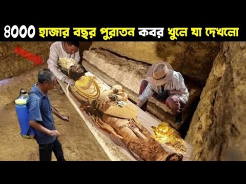 চার হাজার বছর পর যখন কফিনটি খোলা হয় বিজ্ঞানীরাও দেখে অবাক ? archaeology