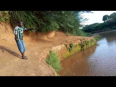 Dangerous‼️ River Perkera full of crocodiles