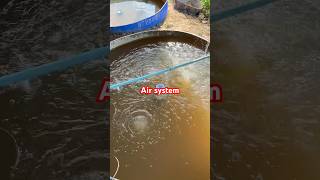 Air stone #tiktok2024 #musicapps #subscribe #funnyvideo #fishing #fishingmusic #music #fish