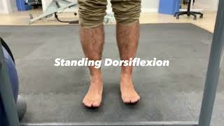 Effective Ankle Exercises for Strength and Stability | Improve Balance and Prevent Injuries