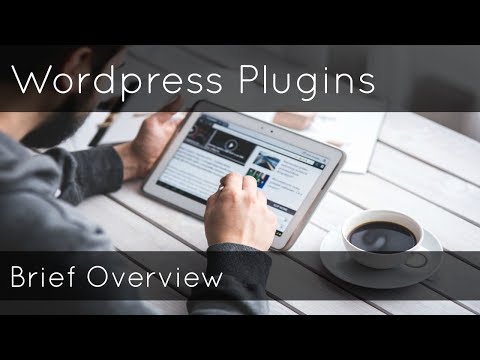 Learn Wordpress Plugins Fast in 60 Seconds