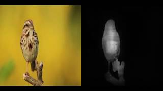 Fast unsupervised object discovery in video
