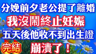 分娩前夕老公提了離婚，我沒鬧終止妊娠，五天後他收不到出生證，崩潰了！