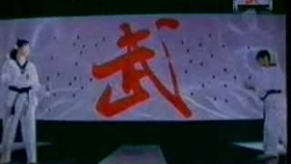 余文樂 南拳 MV