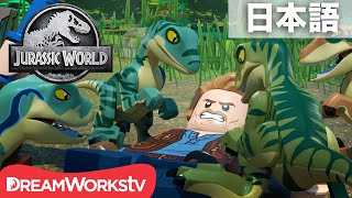 「LEGO ジュラシック・ワールド：イスラ・ヌブラル島の伝説」 第11話「毒花の恐怖」