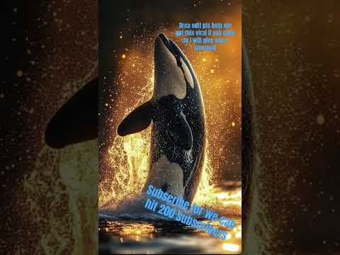 #orcaedit #orcas #orca #likeandsubscribe #edits let’s try to get 90k views and 9000 subscribers sub