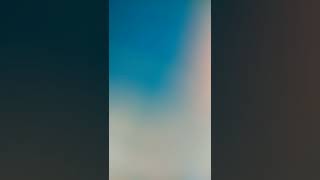 陳隨意-男人的性命 cover