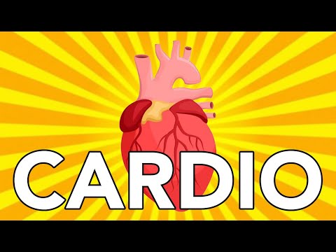Why should you be doing cardio year round ? | 7 amazing benefits of cardio