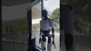 Tesla Bot