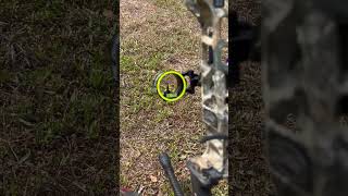 What’s your 2023 bow setup? Just a year behind Chris bee #subscribe #archery #mathewsarchery #