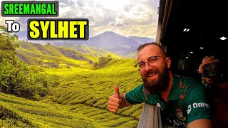 The Most Beautiful Tain Journey in Bangladesh Sreemangal to Sylhet 🇧🇩