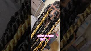 ✨LARGE ISLAND TWIST TUTORIAL| KNOTLESS BRAIDS #braids #youtubeshorts #twist #viralvideo