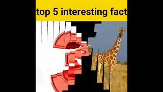 jiraffe ki jib kitni lambi hoti hai #shorts #interestingfacts #amazingfacts #factspraveen