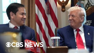 Analyzing Trump's favor with Marco Rubio